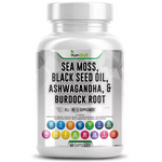 Load image into Gallery viewer, Sea Moss Capsules - Irish Sea Moss Advanced with Burdock Root, Bladderwrack &amp; Muira Puama for Immunity, Gut, &amp; Energy - Superfood Sea Moss Supplements w/Raw Sea Moss Powder - 60 Seamoss Pills
